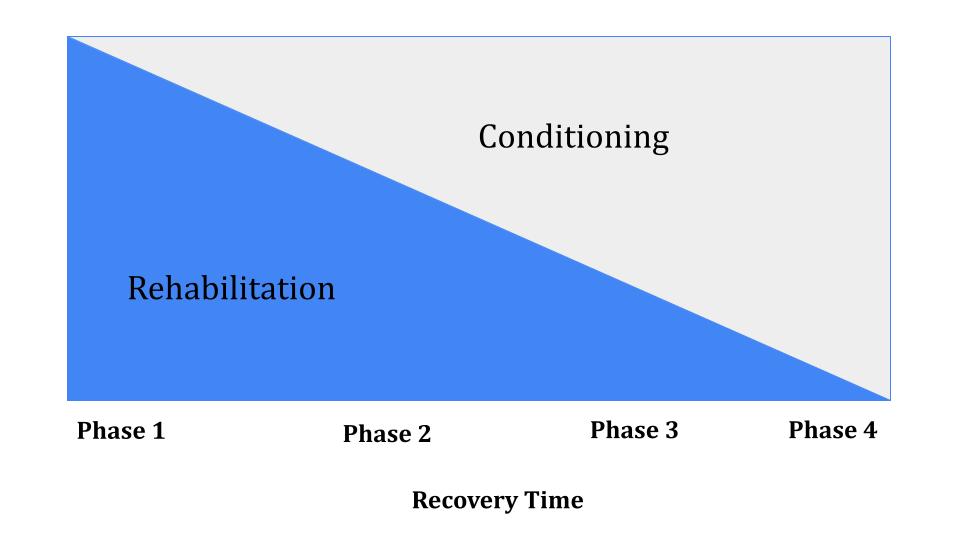 Visual of Rehabilitation-Conditioning Dynamic